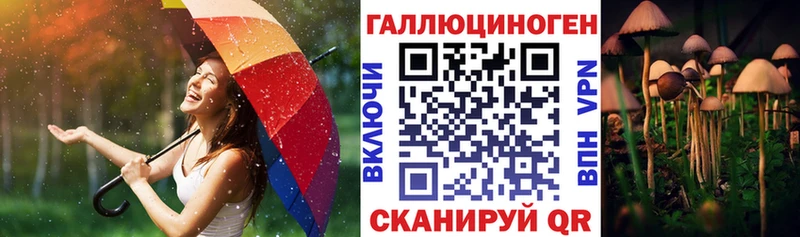 Галлюциногенные грибы Psilocybe  Купить закладки  Инсар 